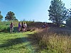 IMG_20210707_165934.jpg