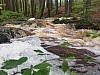 IMG_20210709_112451.jpg