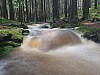 IMG_20210709_113214.jpg