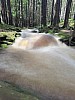 IMG_20210709_113227.jpg