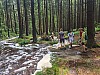 IMG_20210709_113317.jpg