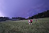 IMG_20210714_212529.jpg