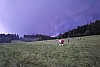 IMG_20210714_212532.jpg