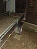 IMG_20210716_022922.jpg
