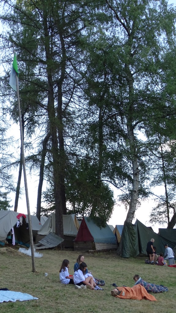 DSC04213.jpg
