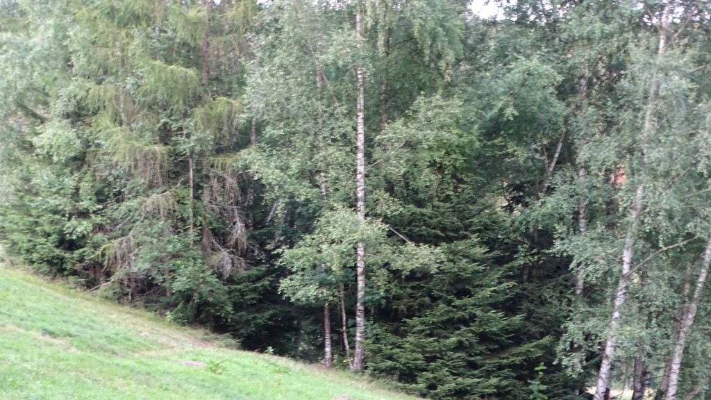 DSC04286.jpg