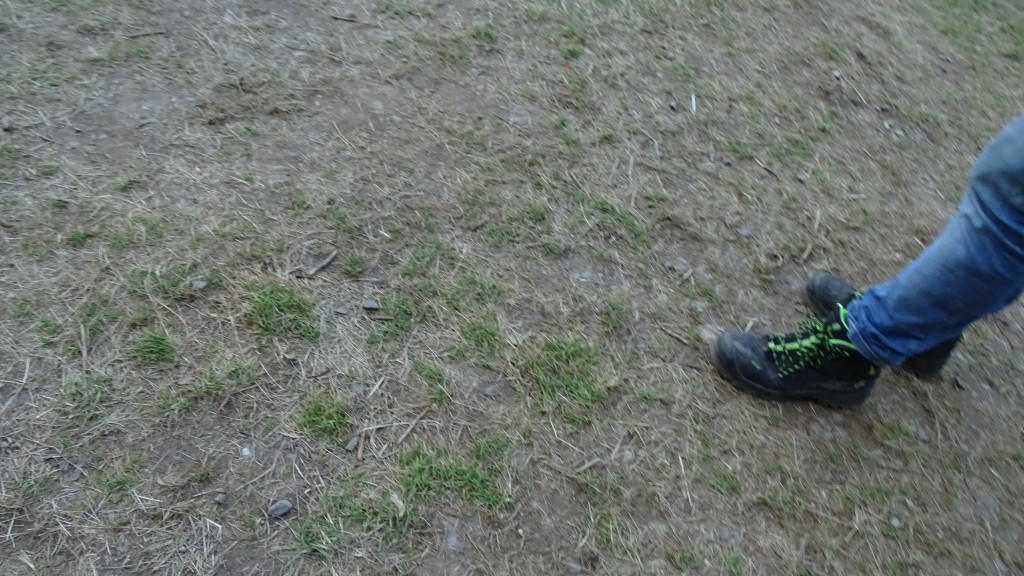 DSC04289.jpg