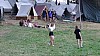 DSC03203.jpg