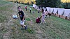 DSC03213.jpg
