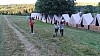 DSC03214.jpg