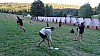 DSC03233.jpg