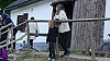 DSC03866.jpg