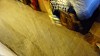 DSC03918.jpg