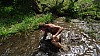 DSC04127.jpg