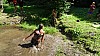 DSC04153.jpg