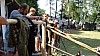DSC04186.jpg