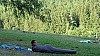 DSC04230.jpg
