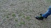 DSC04289.jpg