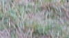 DSC04310.jpg
