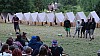 DSC04333.jpg