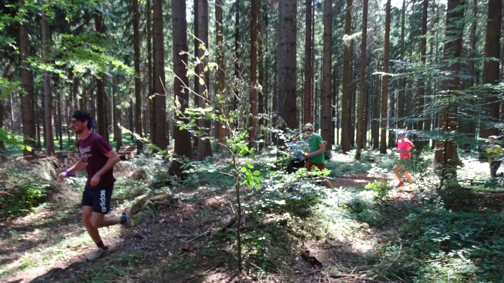 DSC05408.jpg