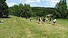 DSC04701.jpg