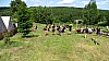 DSC04773.jpg