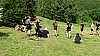 DSC04774.jpg