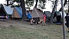DSC04903.jpg