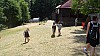 DSC05266.jpg