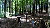 DSC05270.jpg