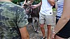 DSC05284.jpg