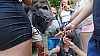 DSC05288.jpg