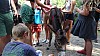 DSC05300.jpg