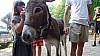 DSC05304.jpg