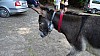 DSC05306.jpg
