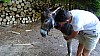 DSC05311.jpg