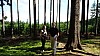 DSC05356.jpg