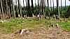 DSC05385.jpg