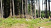 DSC05386.jpg
