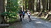DSC05403.jpg
