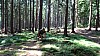 DSC05416.jpg