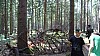 DSC05420.jpg