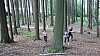 DSC05463.jpg