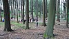 DSC05467.jpg