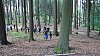 DSC05468.jpg