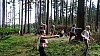 DSC05661.jpg