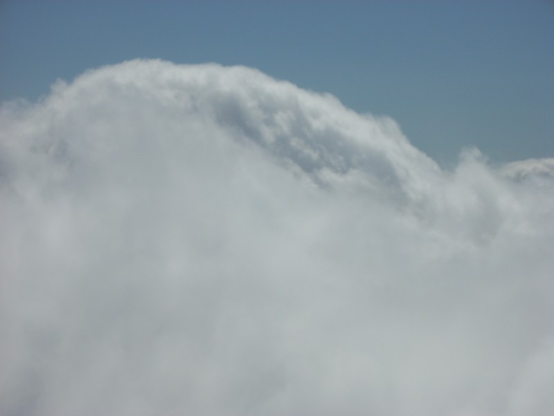 DSCN1803.jpg