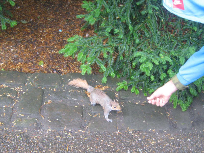 IMG_4238.jpg