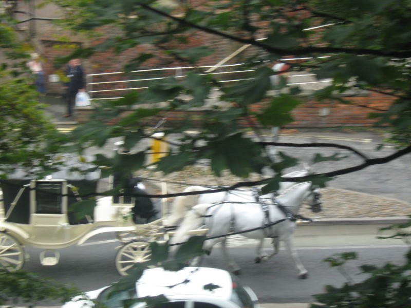 IMG_4283.jpg